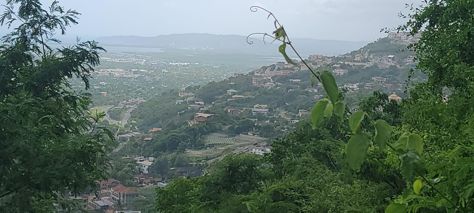 Stunning-30000-sq-ft-Residential-Lot-for-Sale-in-Chancery-Hall-St.-Andrew Fourth image of 65 Vanguard Avenue in Kingston 19, St. Andrew, Jamaica - property is For Sale