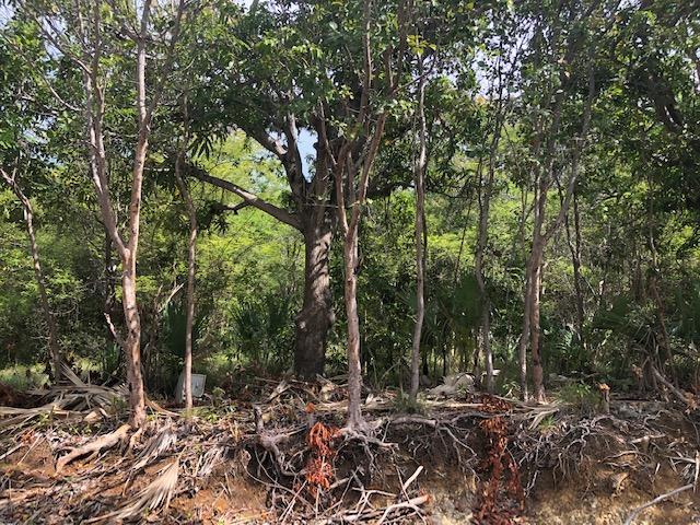 Third image of Hillside Villas in White House WD, Westmoreland, Jamaica - property is For Sale