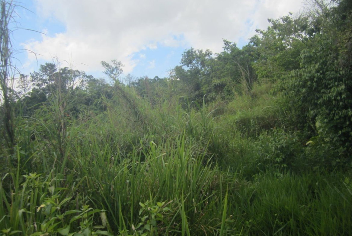 First image of 59 Coopers Hill in Red Hills, St. Andrew, Jamaica - property is For Sale