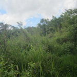 First image of 59 Coopers Hill in Red Hills, St. Andrew, Jamaica - property is For Sale