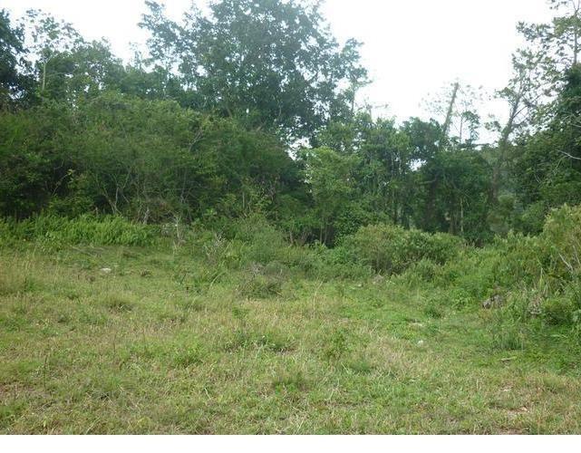 Fourth image of 59 Coopers Hill in Red Hills, St. Andrew, Jamaica - property is For Sale