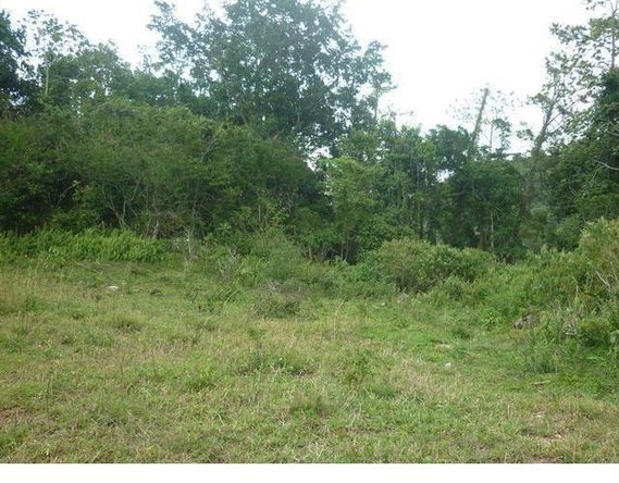 Fourth image of 59 Coopers Hill in Red Hills, St. Andrew, Jamaica - property is For Sale