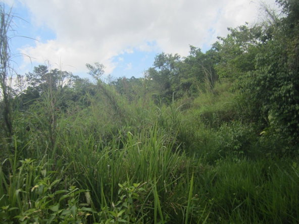 First image of 59 Coopers Hill in Red Hills, St. Andrew, Jamaica - property is For Sale