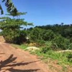 First image of Eddesfield Mango Valley in Boscobel, St. Mary, Jamaica - property is For Sale