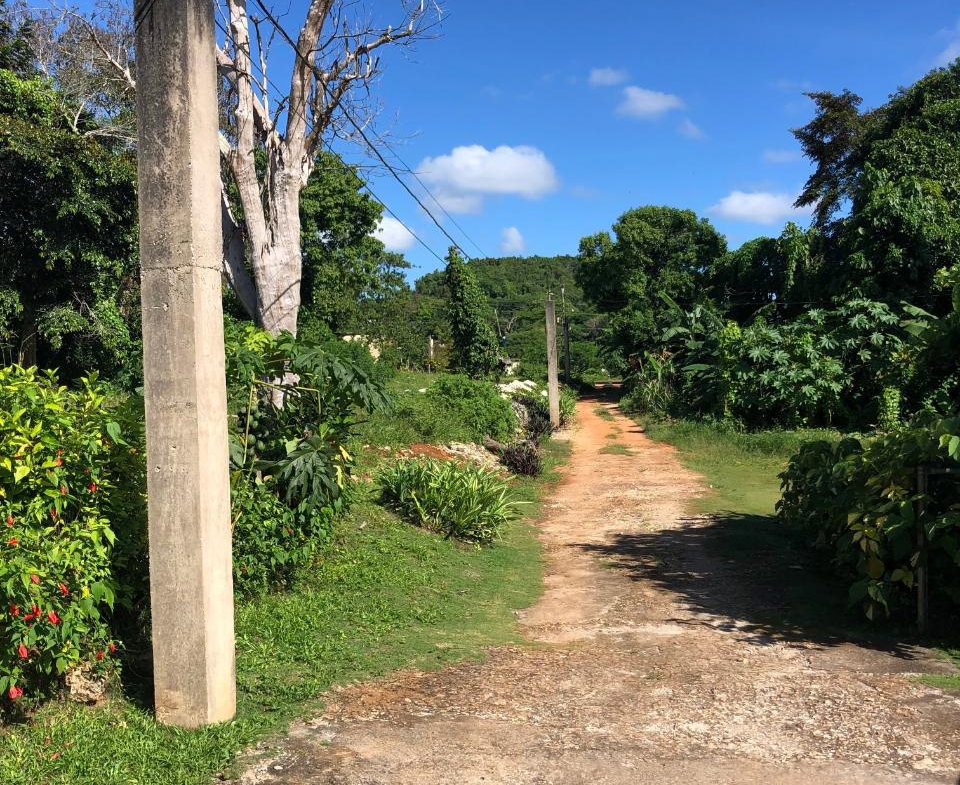 Second image of Part of Rosetta in Alexandria, St. Ann, Jamaica - property is For Sale
