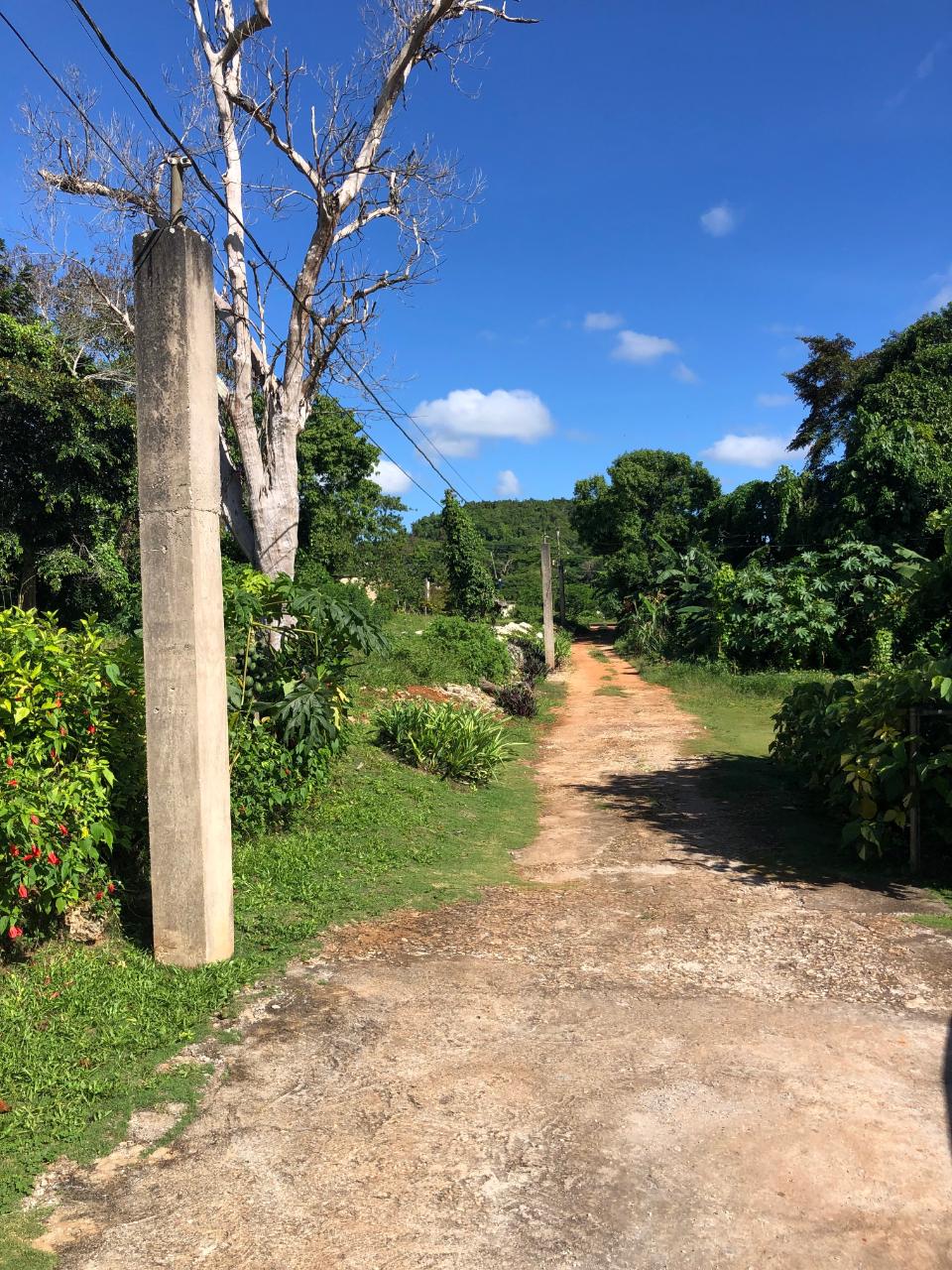 Stunning-4-Bedroom-Bungalow-for-Sale-in-Rosetta-St.-Ann Second image of Part of Rosetta in Alexandria, St. Ann, Jamaica - property is For Sale