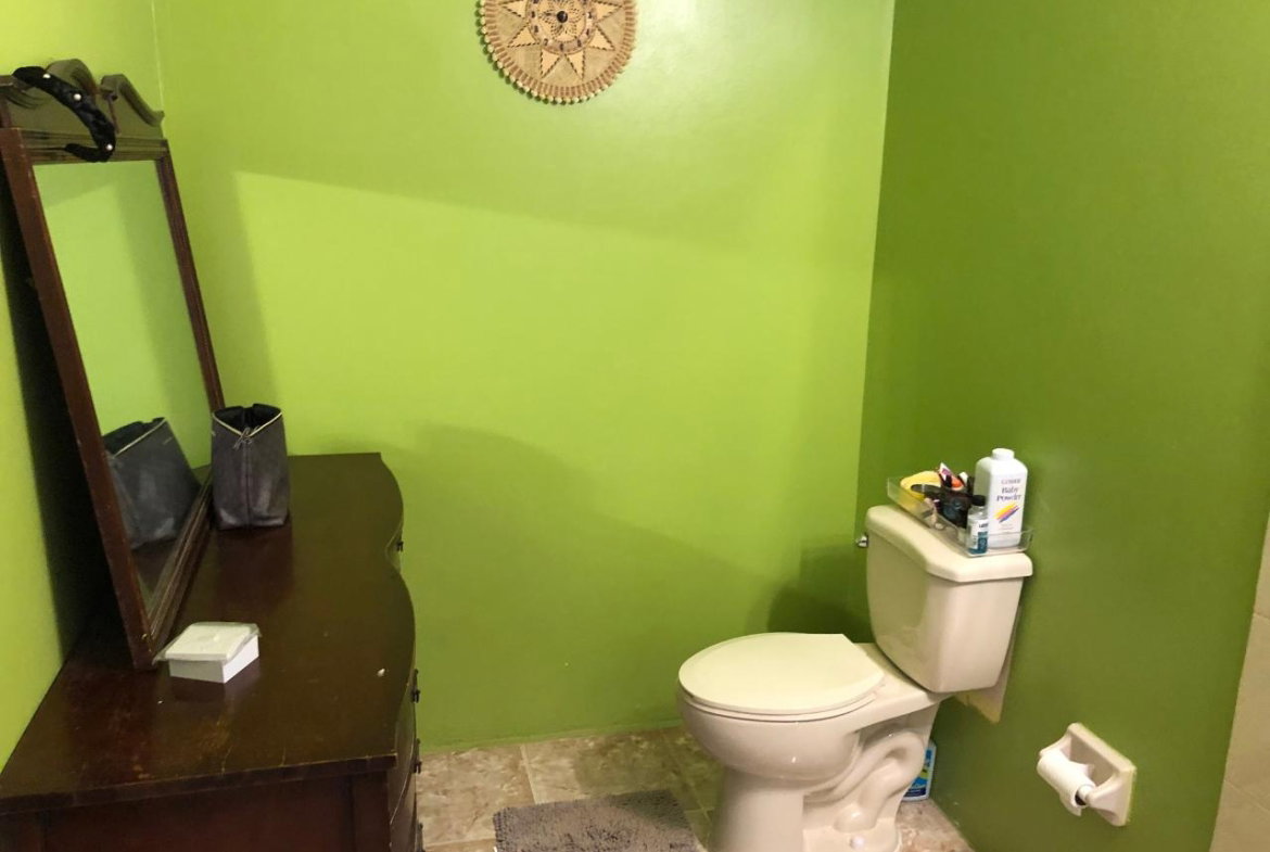 Thirteenth image of Part of Rosetta in Alexandria, St. Ann, Jamaica - property is For Sale