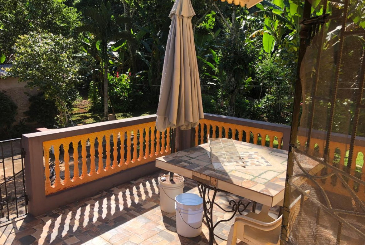 Sixteenth image of Part of Rosetta in Alexandria, St. Ann, Jamaica - property is For Sale