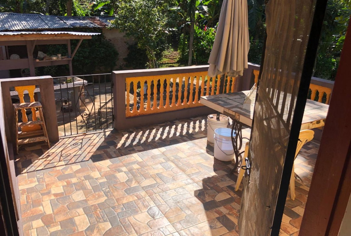 Seventeenth image of Part of Rosetta in Alexandria, St. Ann, Jamaica - property is For Sale