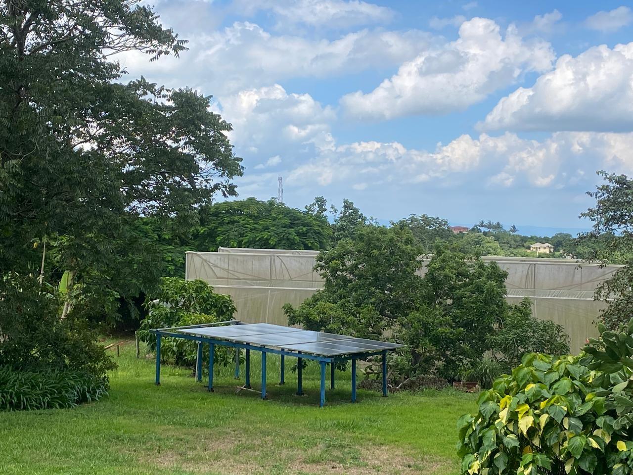 Nineteenth image of 1 Snowden Road in Newport, Manchester, Jamaica - property is For Sale