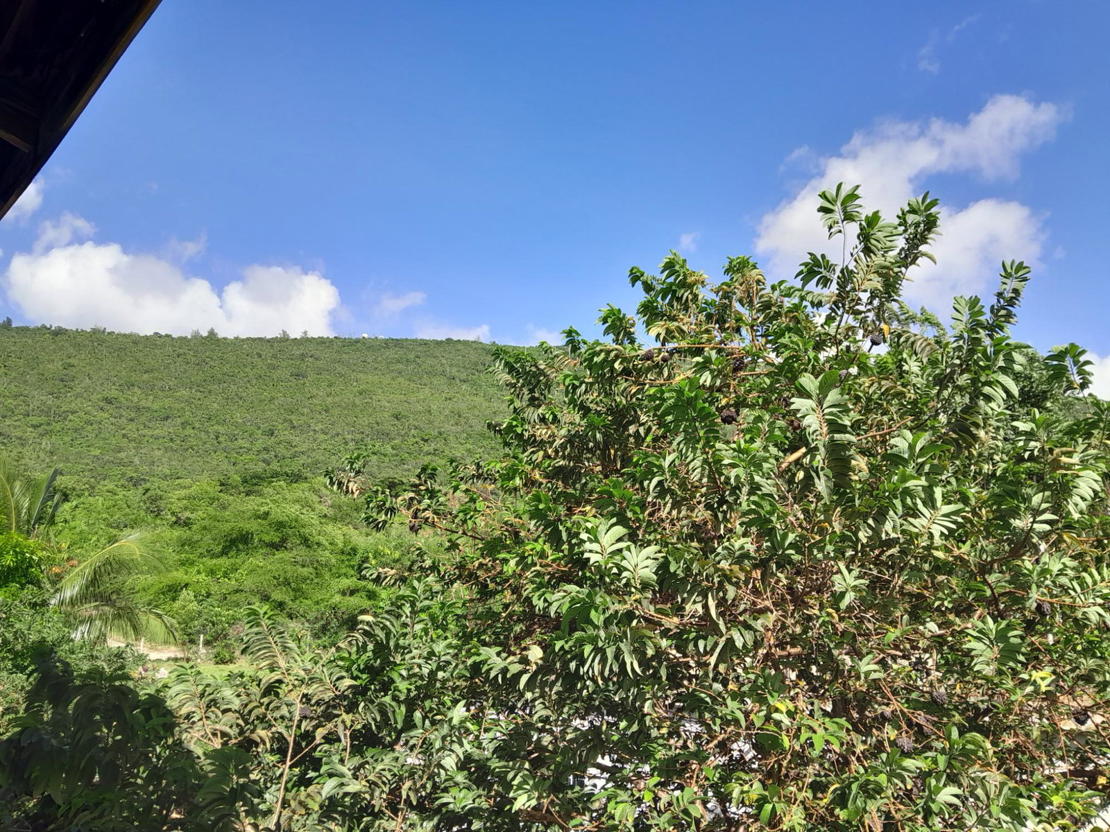 Nineteenth image of Lot 11 Montpelier Heights, Montp in Spur Tree, Manchester, Jamaica - property is For Sale