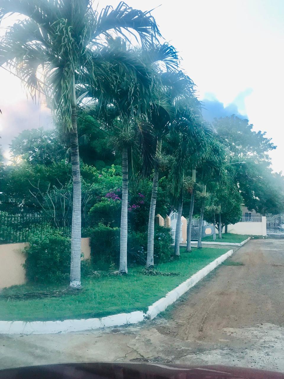 Eleventh image of 175 Cedar Square, Mount View in Spanish Town, St. Catherine, Jamaica - property is For Sale