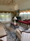 First image of 90 Dana Avenue in Colbeck, St. Catherine, Jamaica - property is For Sale