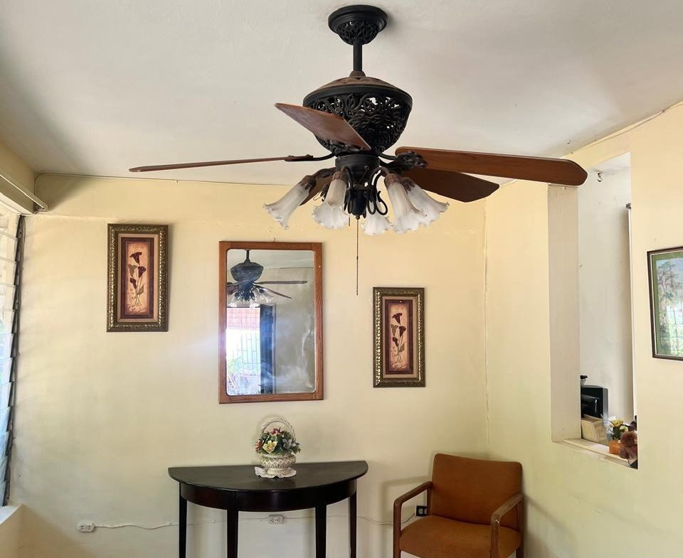 Twenty-Third image of 6 Ulster Road in Kingston 3, St. Andrew, Jamaica - property is For Sale