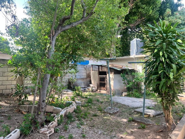 Thirtieth image of 6 Ulster Road in Kingston 3, St. Andrew, Jamaica - property is For Sale