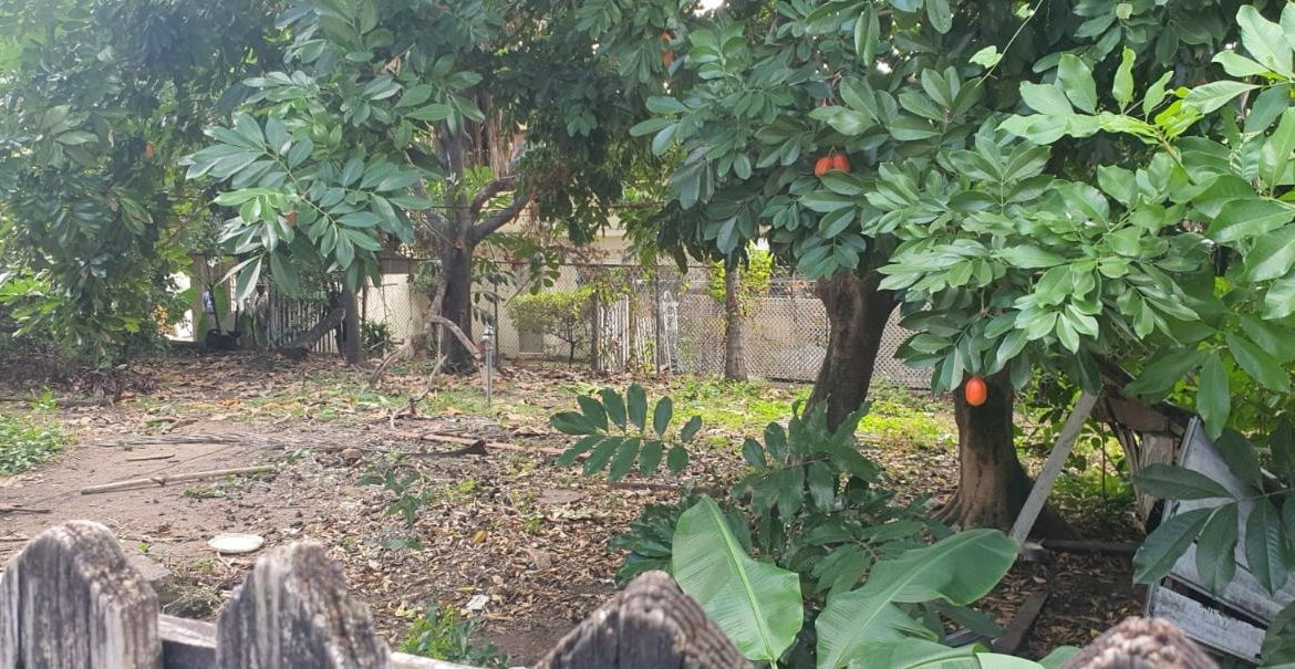 Sixth image of Lot 3 Allerdyce Road in Kingston 8, St. Andrew, Jamaica - property is For Sale