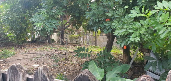 Sixth image of Lot 3 Allerdyce Road in Kingston 8, St. Andrew, Jamaica - property is For Sale