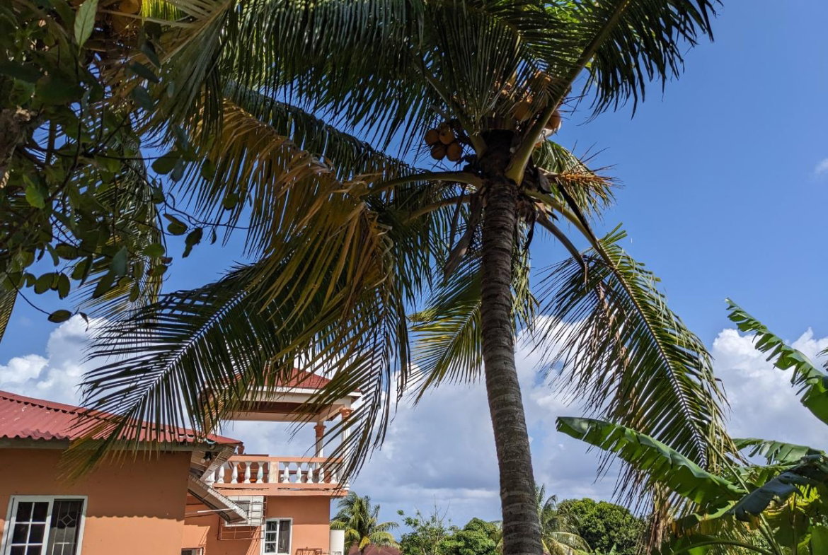 Thirteenth image of 45 Swaby Ave, Tower Isle in Tower Isle, St. Mary, Jamaica - property is For Sale