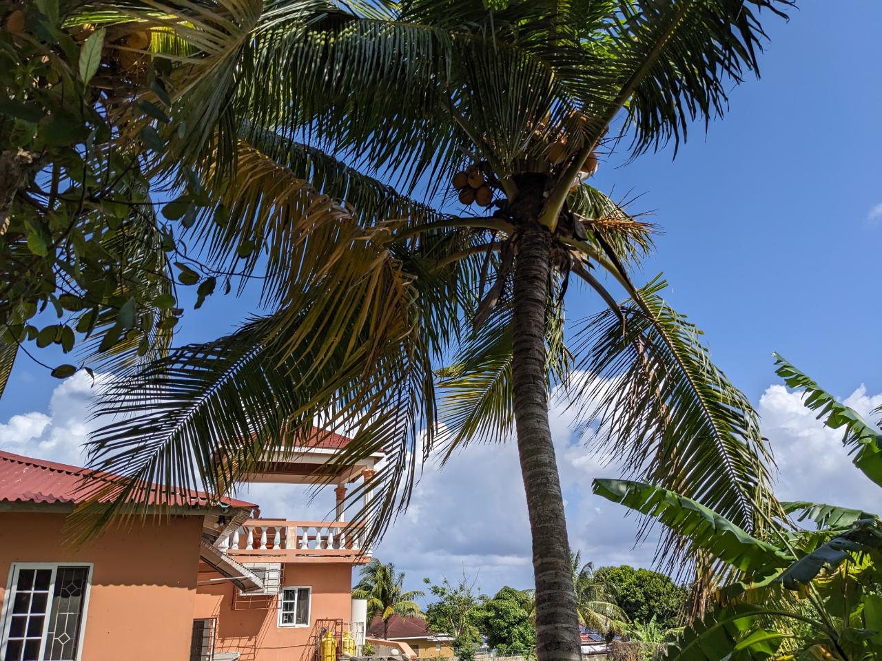 Stunning-4-Bedroom-Home-for-Sale-in-Tower-Isle-Jamaica Thirteenth image of 45 Swaby Ave, Tower Isle in Tower Isle, St. Mary, Jamaica - property is For Sale