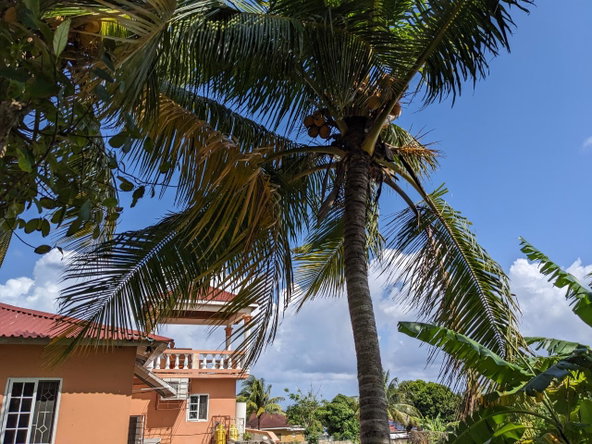Thirteenth image of 45 Swaby Ave, Tower Isle in Tower Isle, St. Mary, Jamaica - property is For Sale