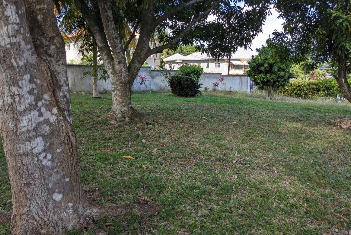 Fourteenth image of 45 Swaby Ave, Tower Isle in Tower Isle, St. Mary, Jamaica - property is For Sale