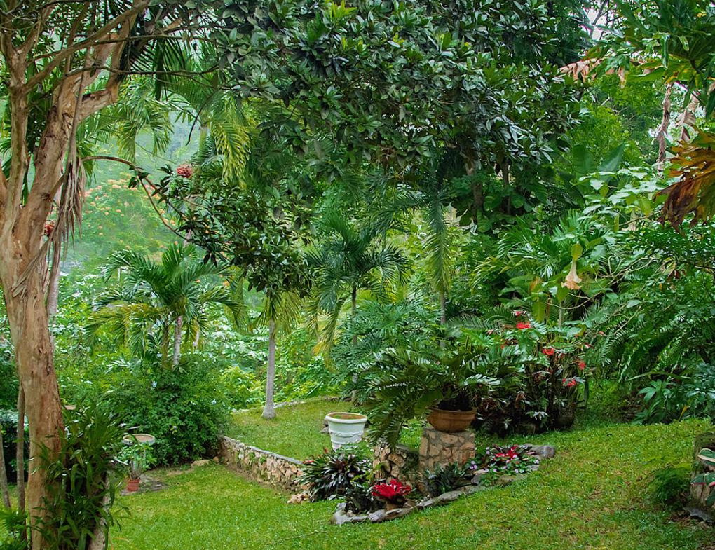 Eleventh image of Whispering Woods in Kingston 8, St. Andrew, Jamaica - property is For Sale