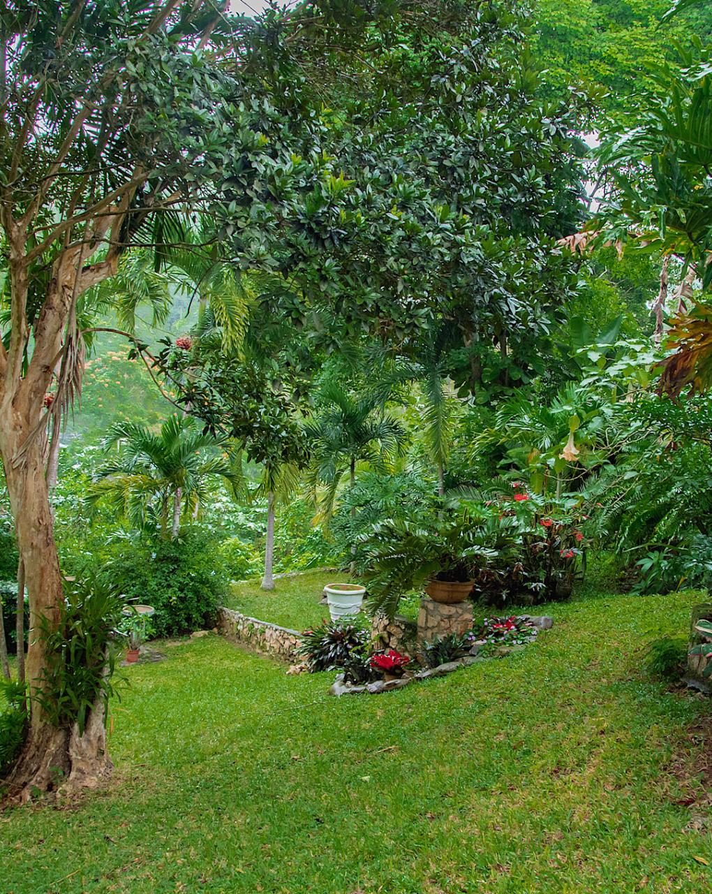 Eleventh image of Whispering Woods in Kingston 8, St. Andrew, Jamaica - property is For Sale