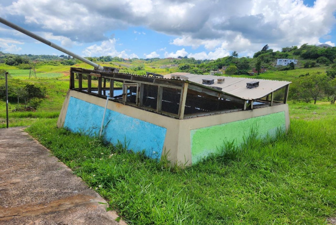 Eighteenth image of 410a New Wales in New Whales, Manchester, Jamaica - property is For Sale