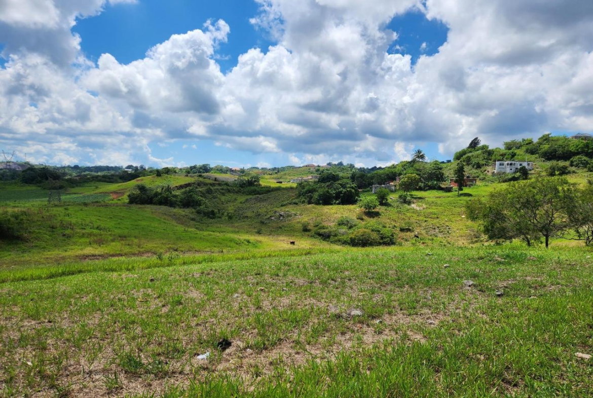 Nineteenth image of 410a New Wales in New Whales, Manchester, Jamaica - property is For Sale