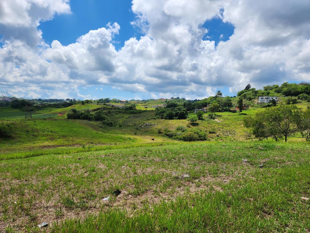 Nineteenth image of 410a New Wales in New Whales, Manchester, Jamaica - property is For Sale