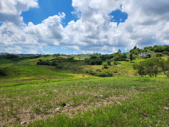 Nineteenth image of 410a New Wales in New Whales, Manchester, Jamaica - property is For Sale