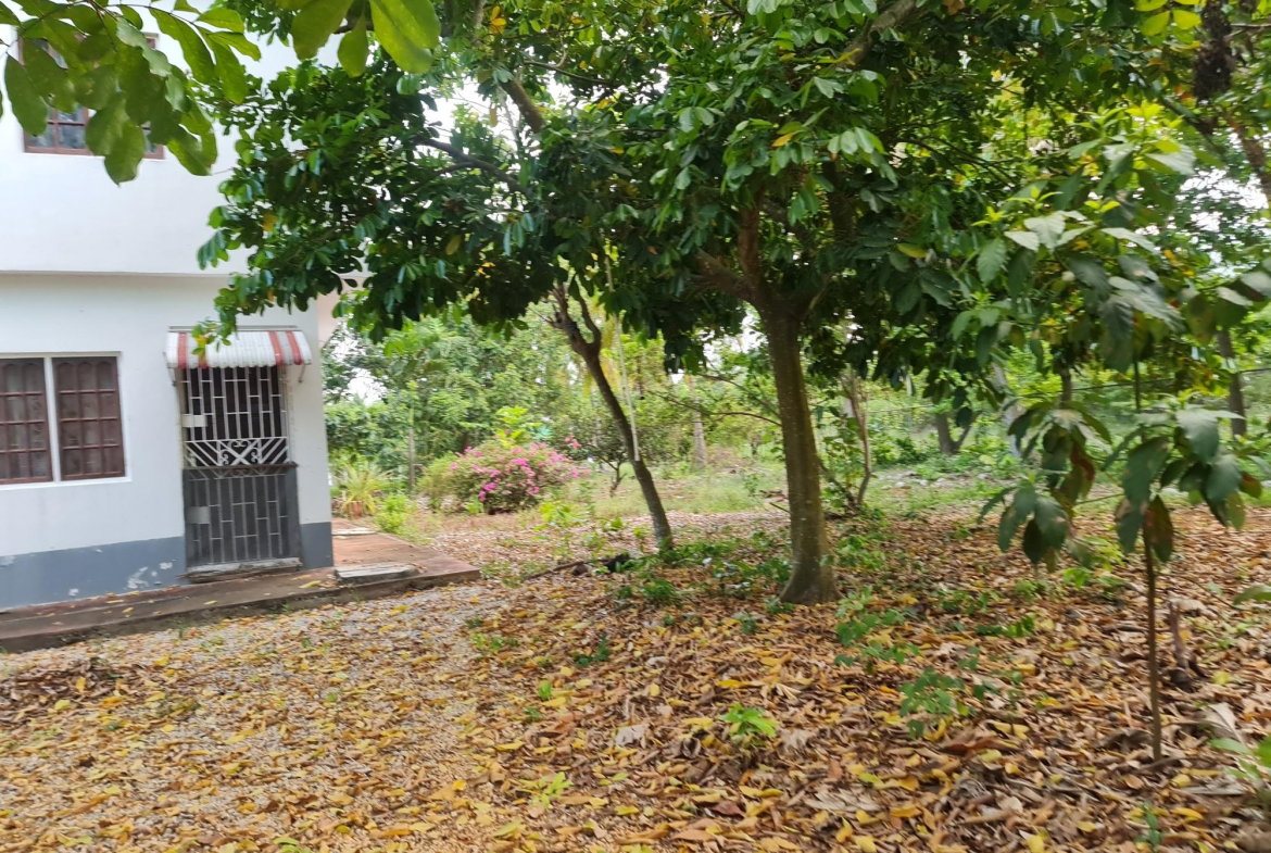 Eleventh image of 26a Sheckles Pen Four Path in Four Paths, Clarendon, Jamaica - property is For Sale