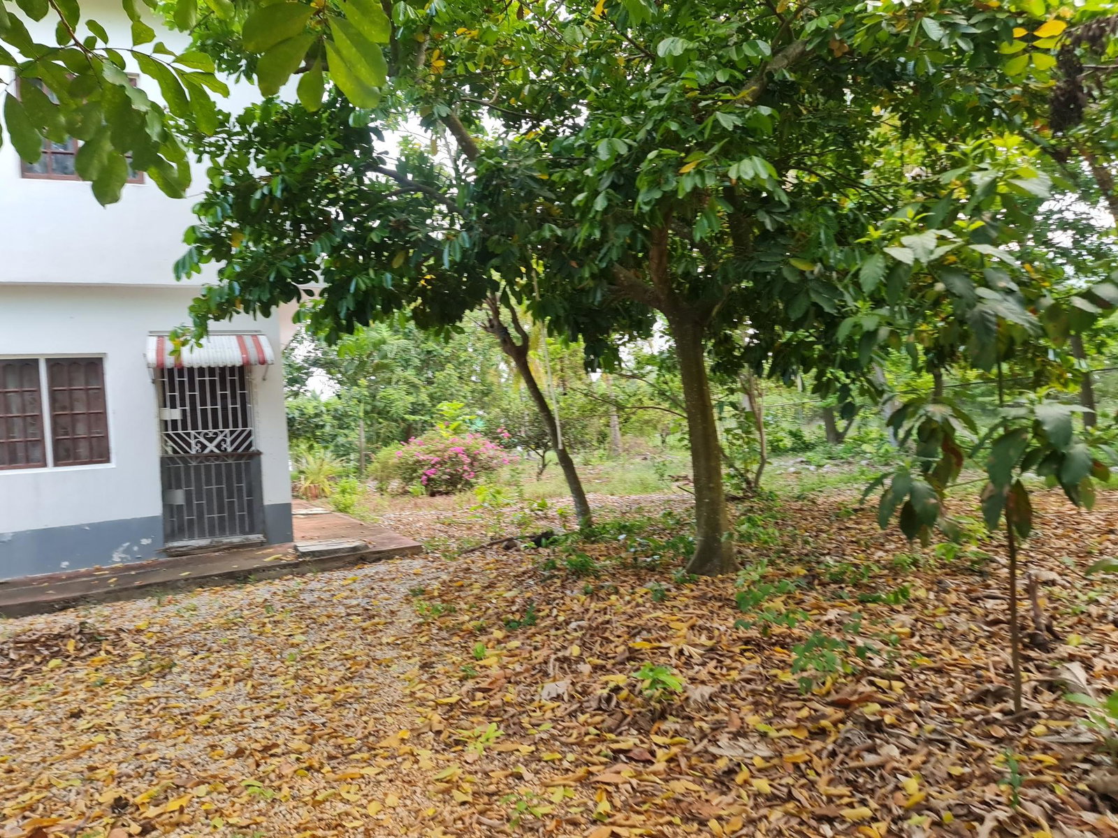Eleventh image of 26a Sheckles Pen Four Path in Four Paths, Clarendon, Jamaica - property is For Sale
