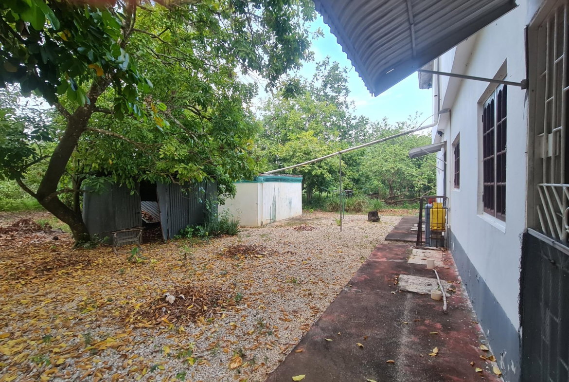 Thirteenth image of 26a Sheckles Pen Four Path in Four Paths, Clarendon, Jamaica - property is For Sale