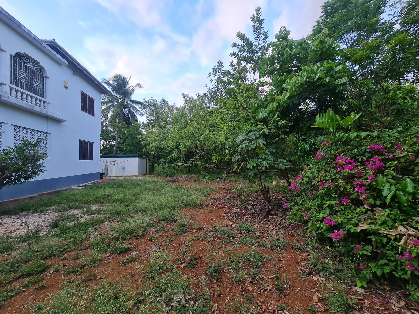 Sixteenth image of 26a Sheckles Pen Four Path in Four Paths, Clarendon, Jamaica - property is For Sale