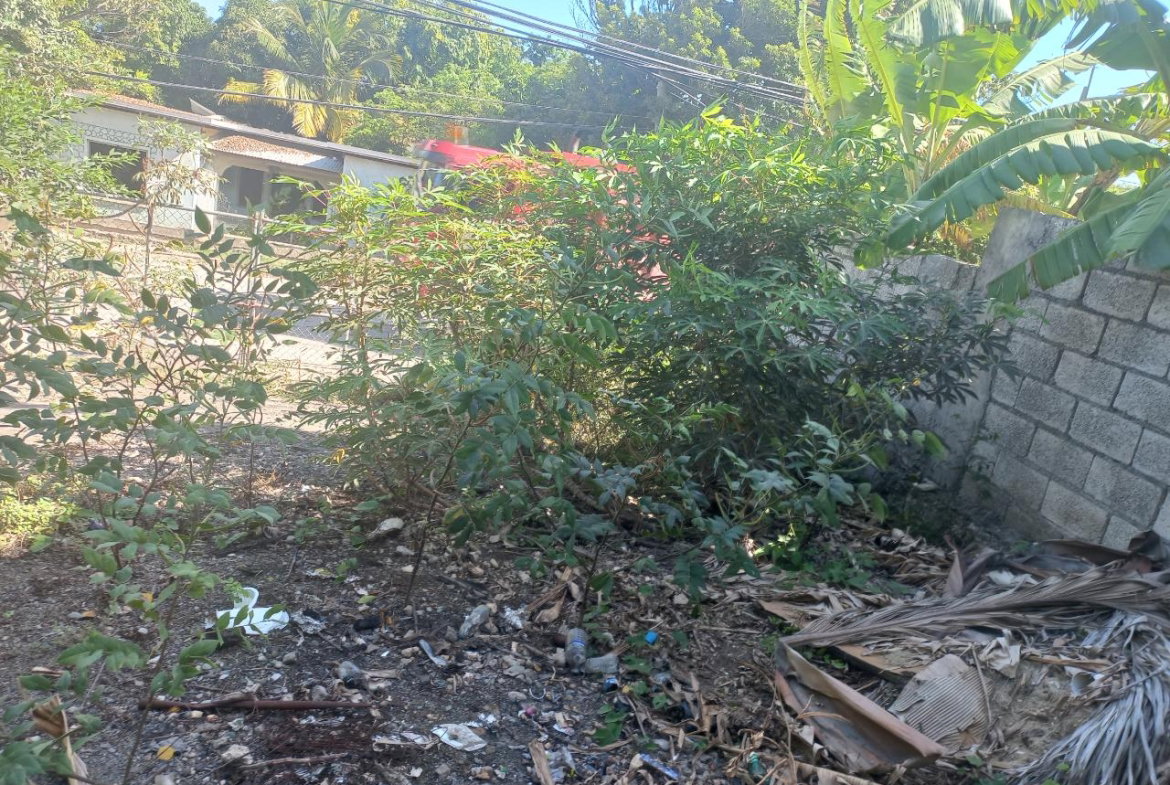 Twenty-Second image of Cedar Grove, White Horses in Yallahs, St. Thomas, Jamaica - property is For Sale