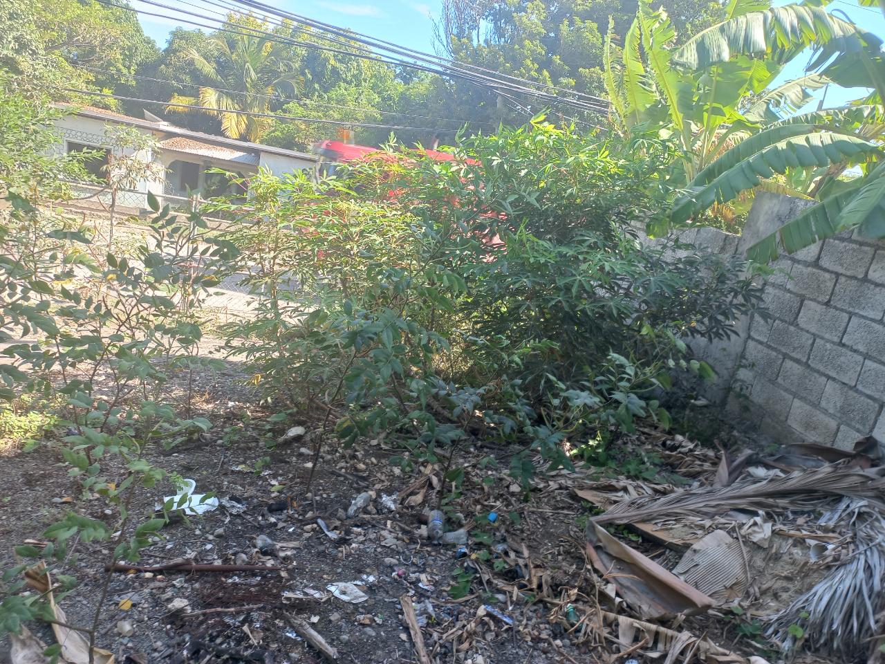 Twenty-Second image of Cedar Grove, White Horses in Yallahs, St. Thomas, Jamaica - property is For Sale