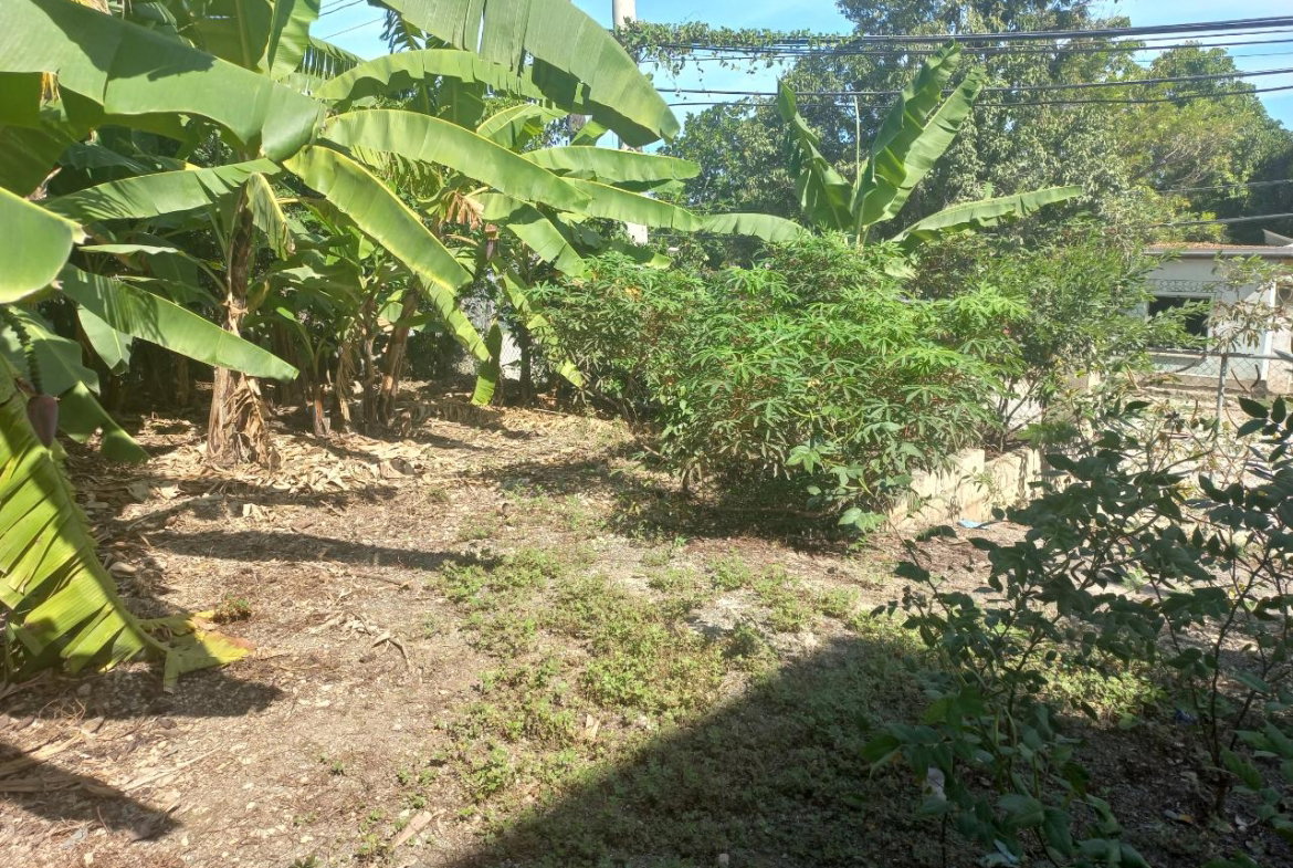 Twenty-Third image of Cedar Grove, White Horses in Yallahs, St. Thomas, Jamaica - property is For Sale