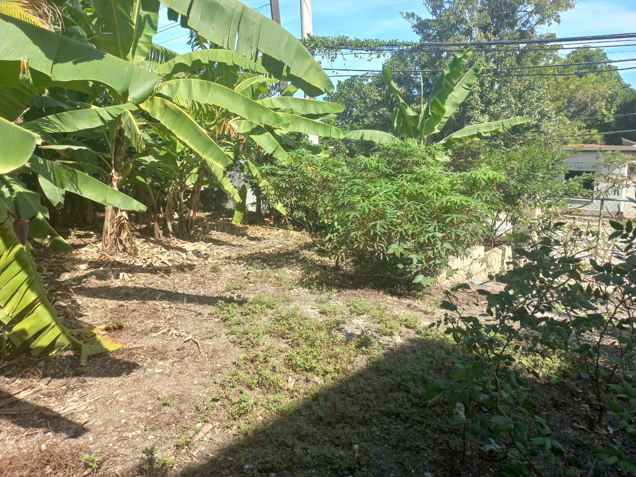 Twenty-Third image of Cedar Grove, White Horses in Yallahs, St. Thomas, Jamaica - property is For Sale