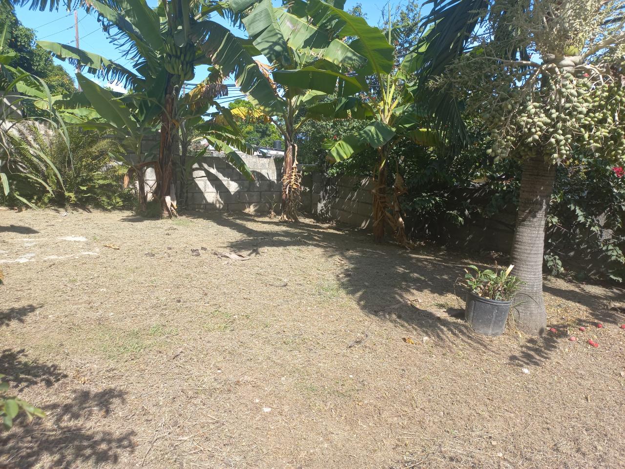 Twenty-Fourth image of Cedar Grove, White Horses in Yallahs, St. Thomas, Jamaica - property is For Sale