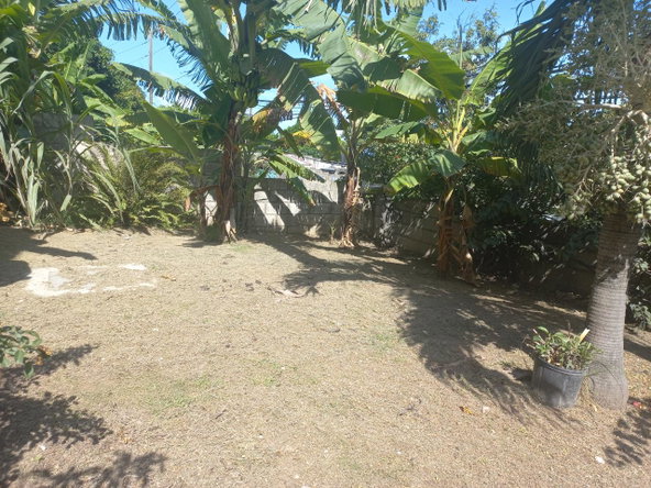 Twenty-Fifth image of Cedar Grove, White Horses in Yallahs, St. Thomas, Jamaica - property is For Sale