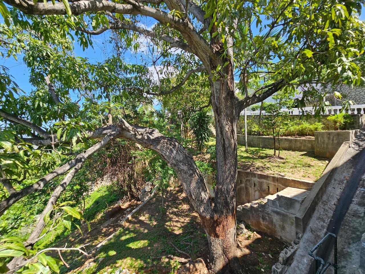Nineteenth image of 1a East Armour Heights in Kingston 8, St. Andrew, Jamaica - property is For Sale