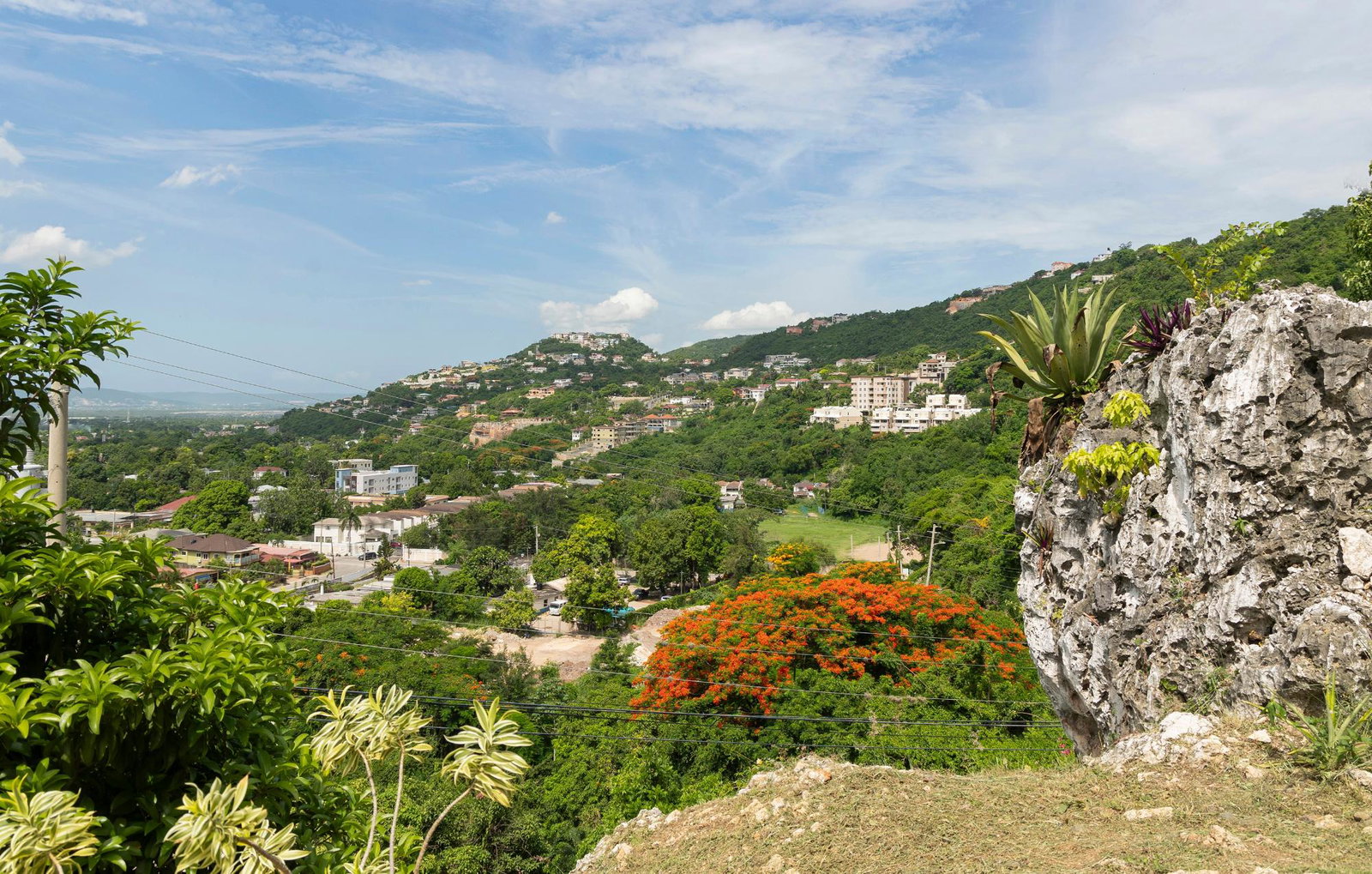 Nineteenth image of 5 North Michigan Avenue in Kingston 19, St. Andrew, Jamaica - property is For Rent