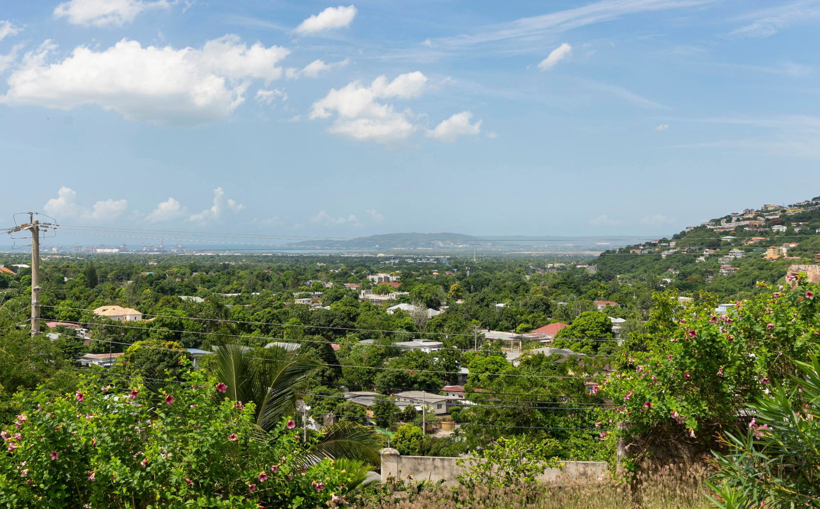 First image of 5 North Michigan Avenue in Kingston 19, St. Andrew, Jamaica - property is For Rent