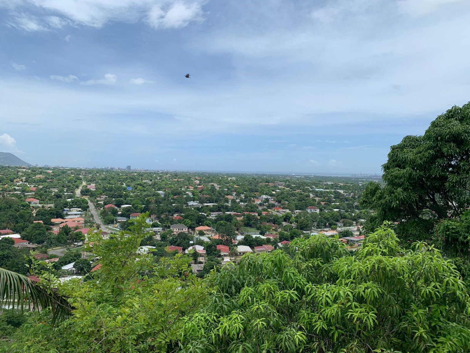 Twenty-Second image of 5 Montcalm Close, Havendale in Kingston 19, St. Andrew, Jamaica - property is For Sale
