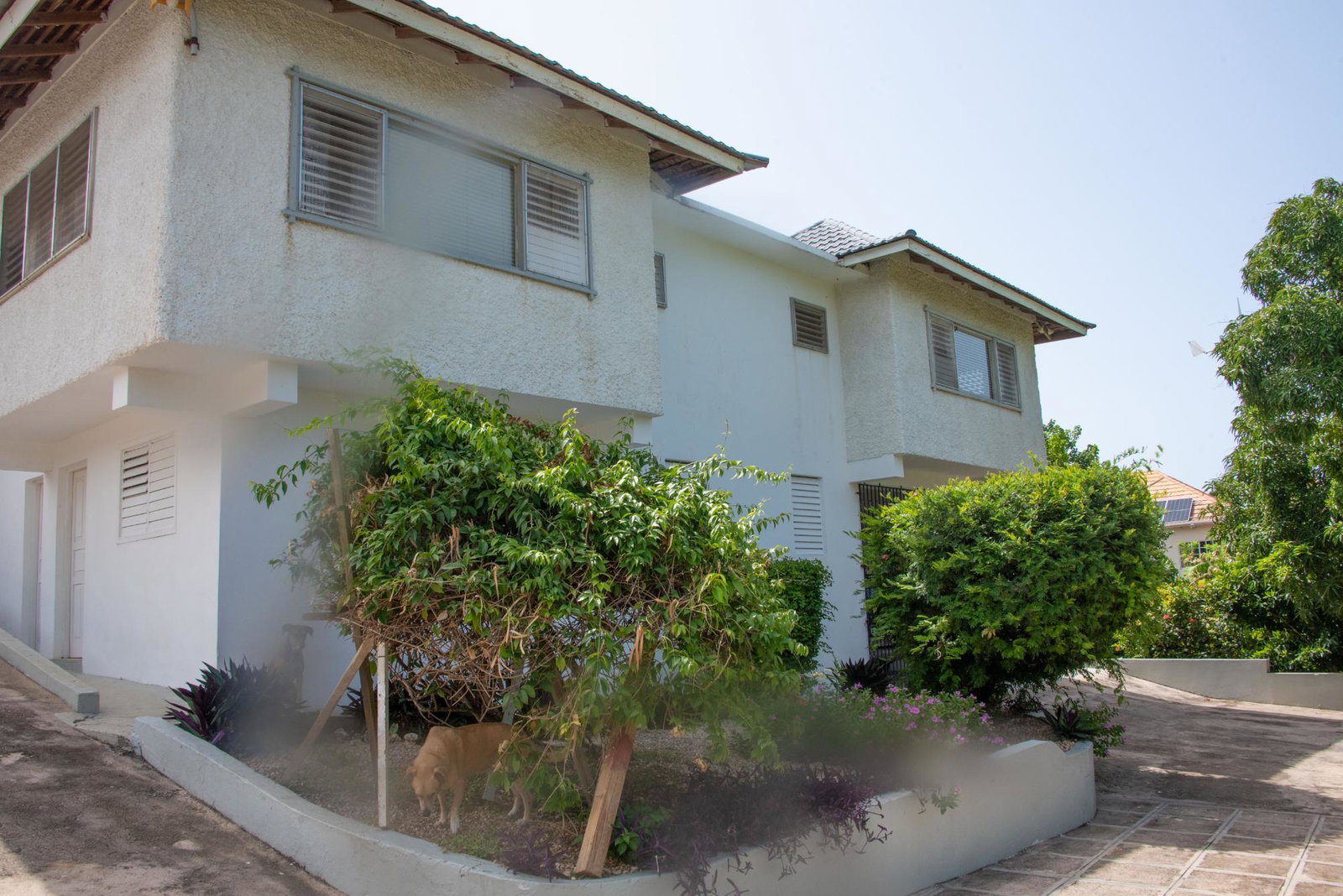 First image of 49 Bridgewater in Discovery Bay, St. Ann, Jamaica - property is For Sale