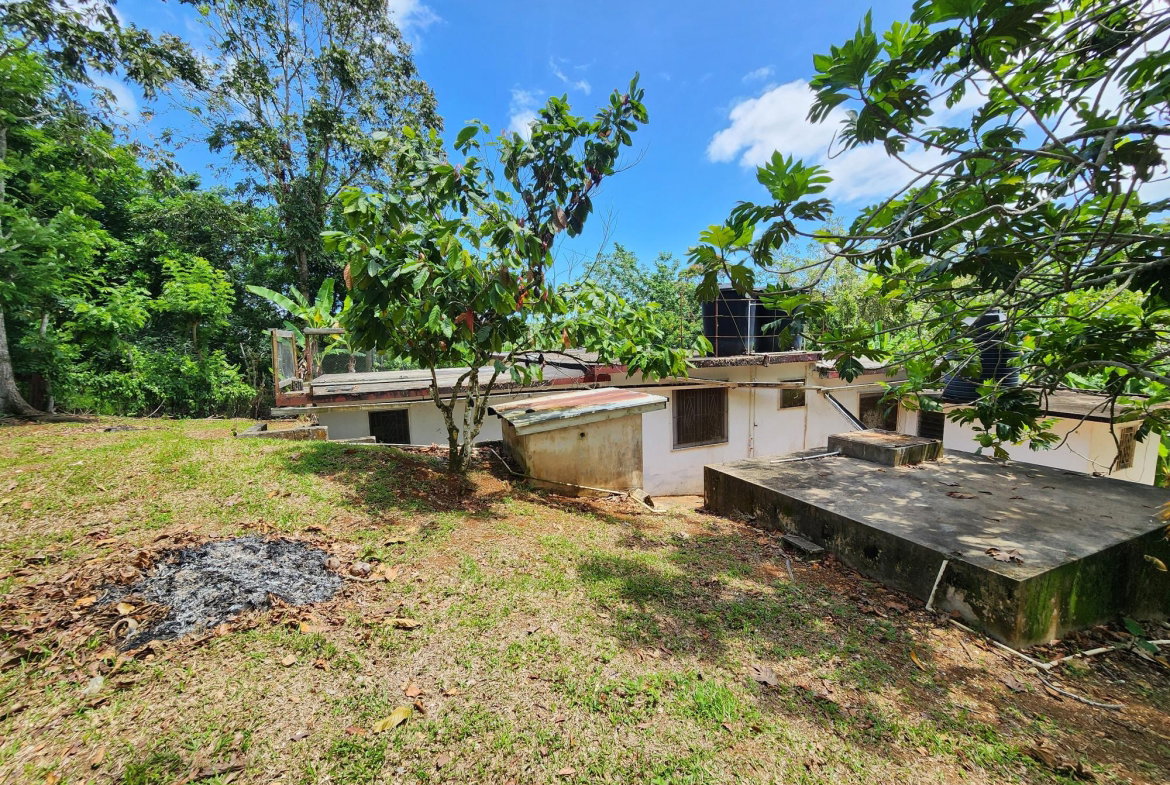Seventeenth image of Mount Salus in Mount Salus, St. Andrew, Jamaica - property is For Sale