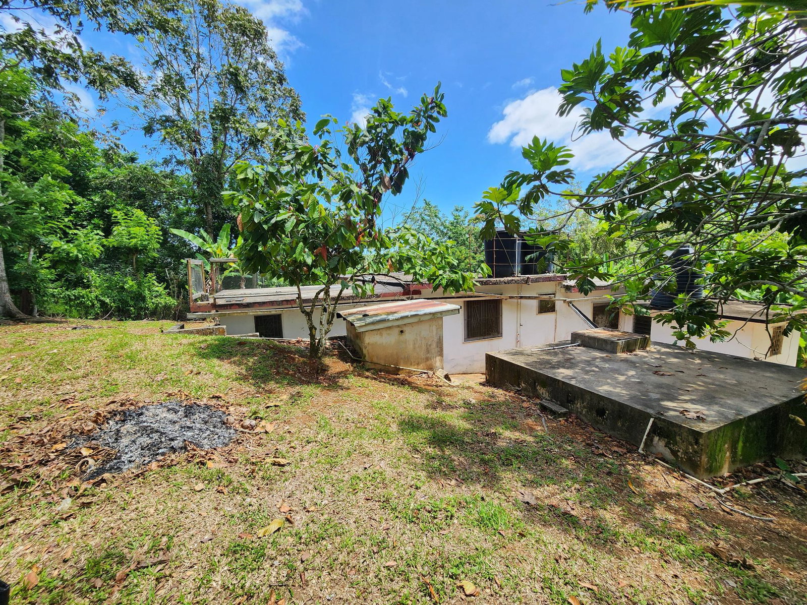 Seventeenth image of Mount Salus in Mount Salus, St. Andrew, Jamaica - property is For Sale