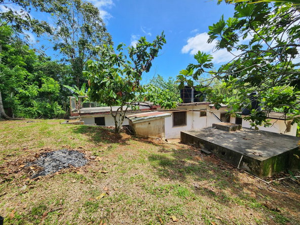 Seventeenth image of Mount Salus in Mount Salus, St. Andrew, Jamaica - property is For Sale