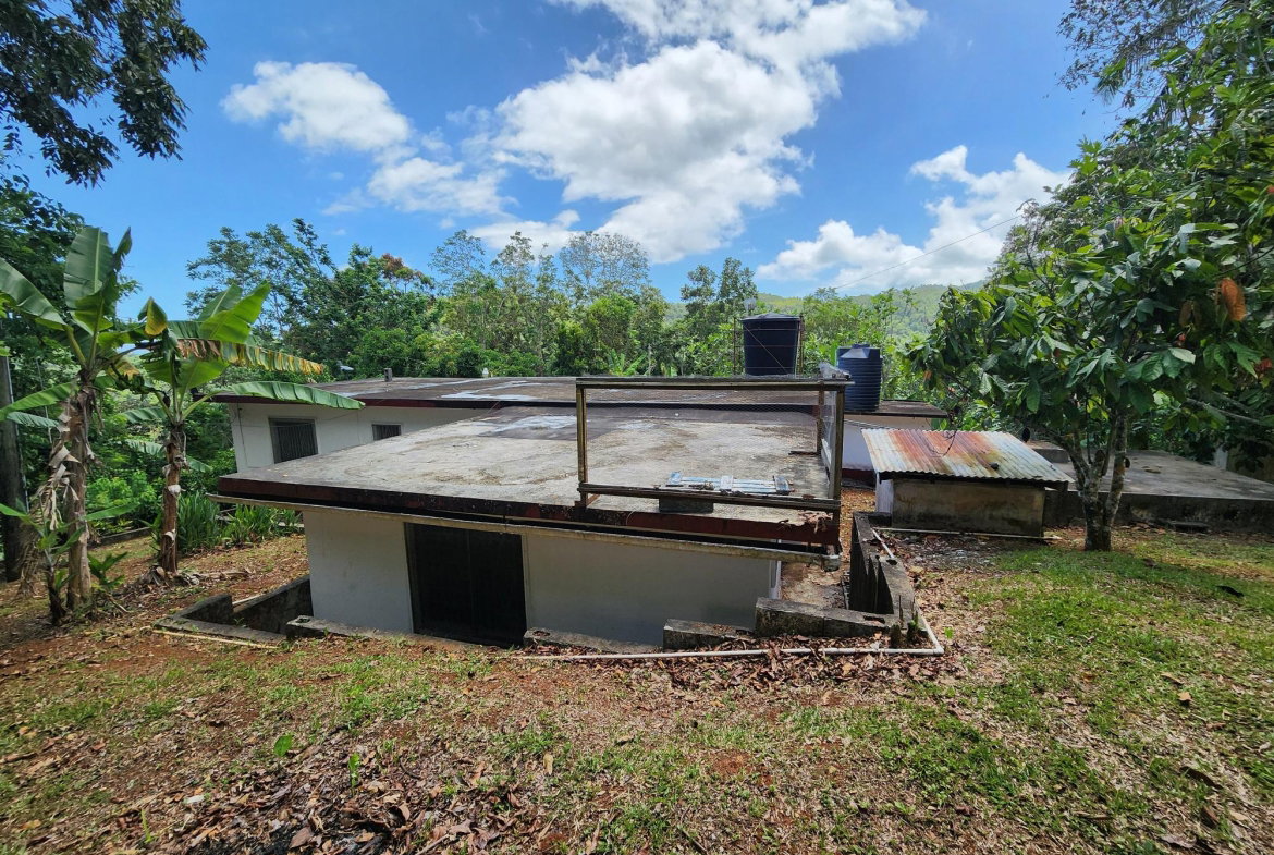 Eighteenth image of Mount Salus in Mount Salus, St. Andrew, Jamaica - property is For Sale